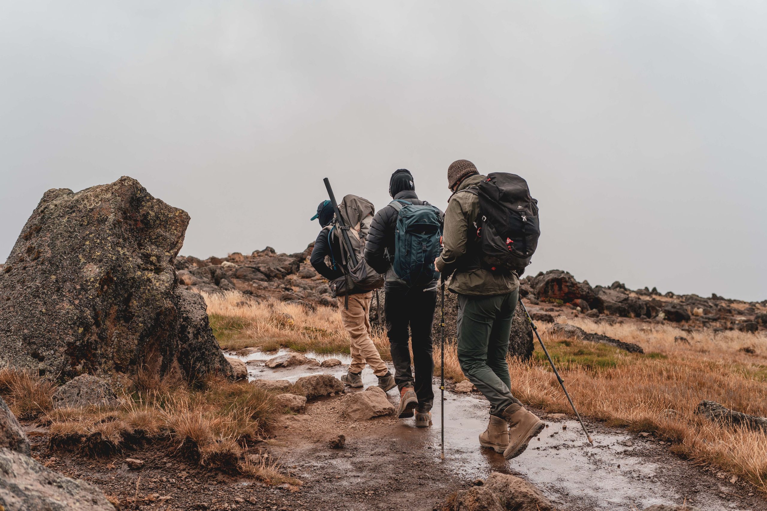 Kilimanjaro Treks